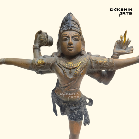 Rare Shiva Tandav