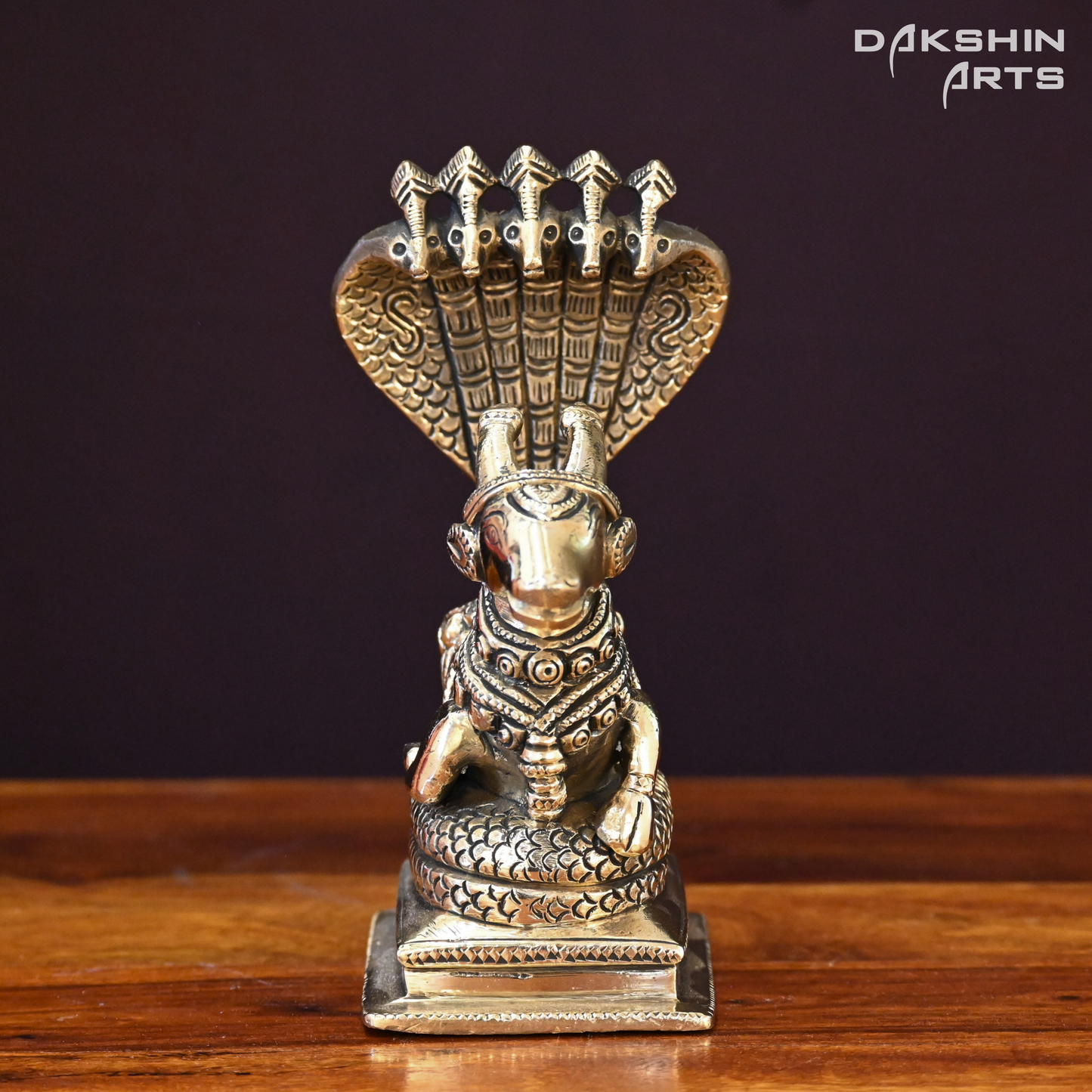 NANDI SARP - Dakshin Arts