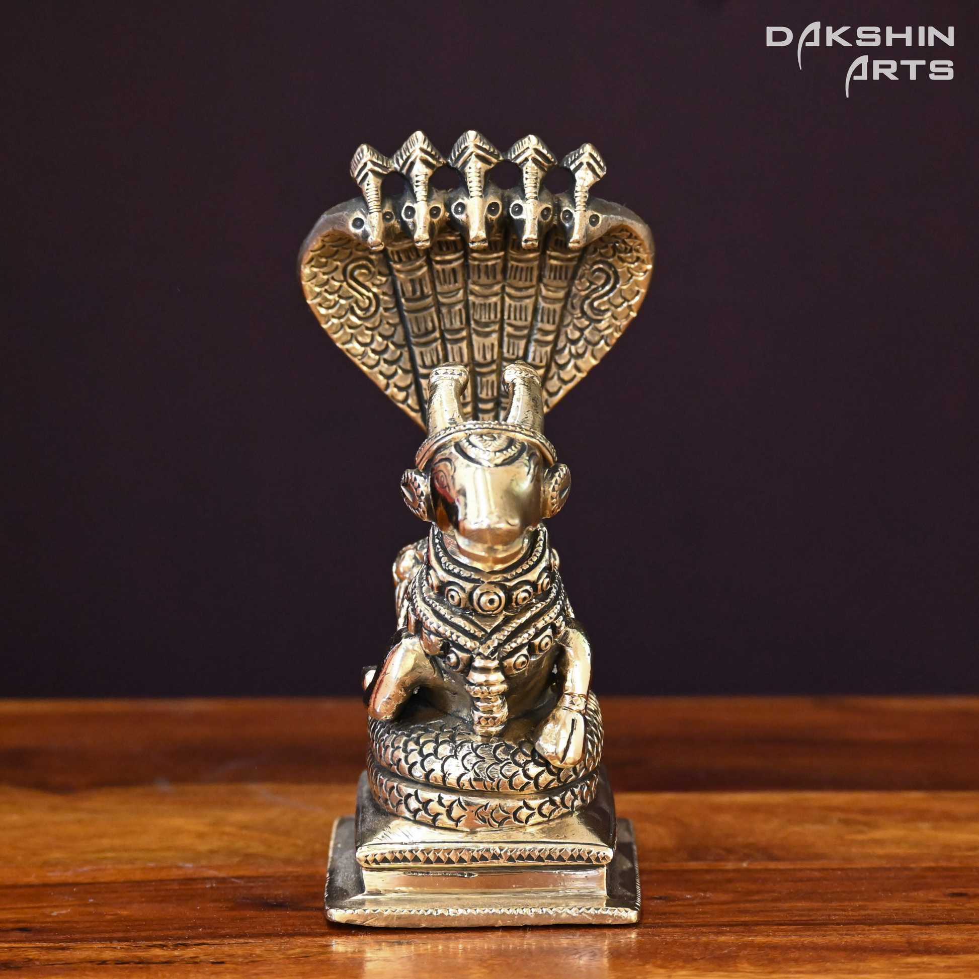 NANDI SARP - Dakshin Arts