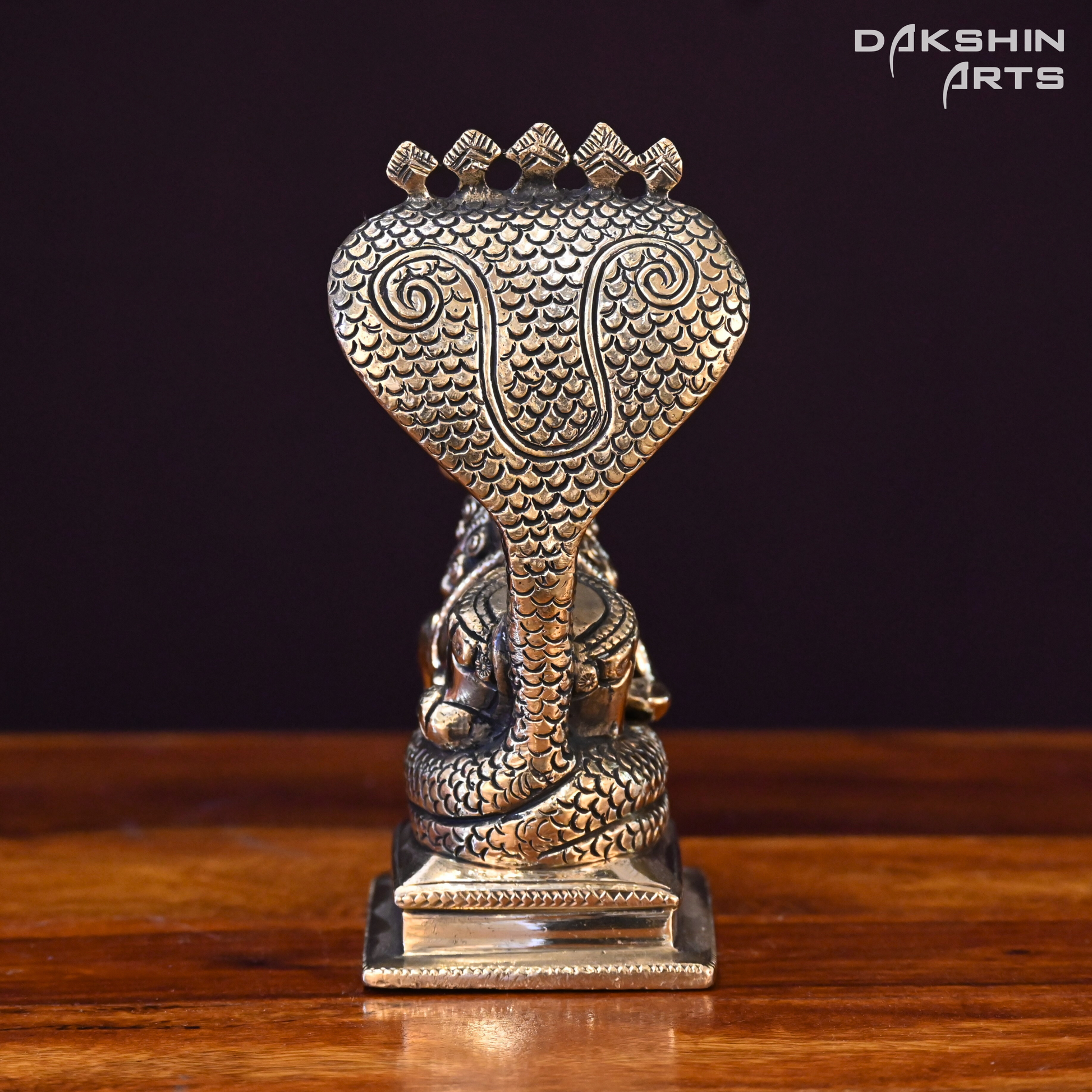 NANDI SARP - Dakshin Arts