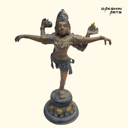 Rare Shiva Tandav