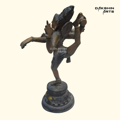 Rare Shiva Tandav