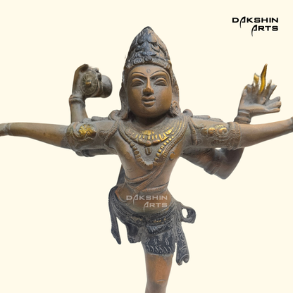 Rare Shiva Tandav