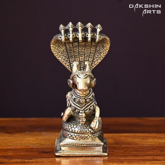 NANDI SARP - Dakshin Arts